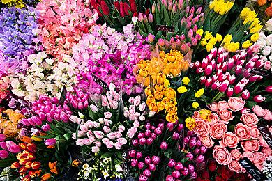 《PLATiNA :: LAB》Steam页面 2025年4月发售